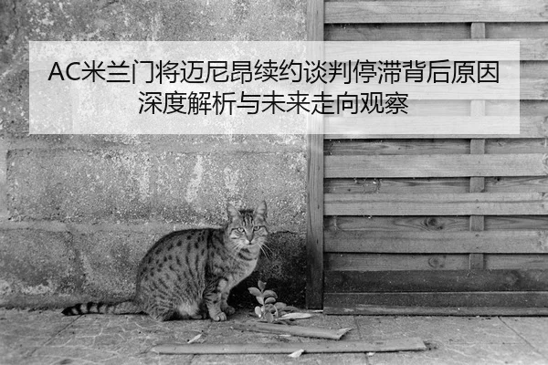 AC米兰门将迈尼昂续约谈判停滞背后原因深度解析与未来走向观察
