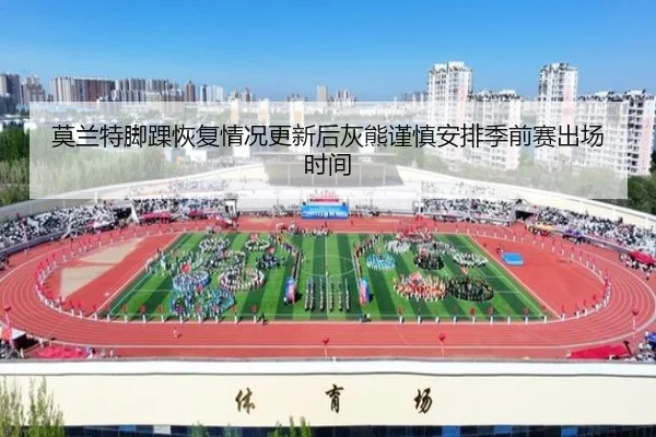 img_1783340443843_72_1_399.jpg